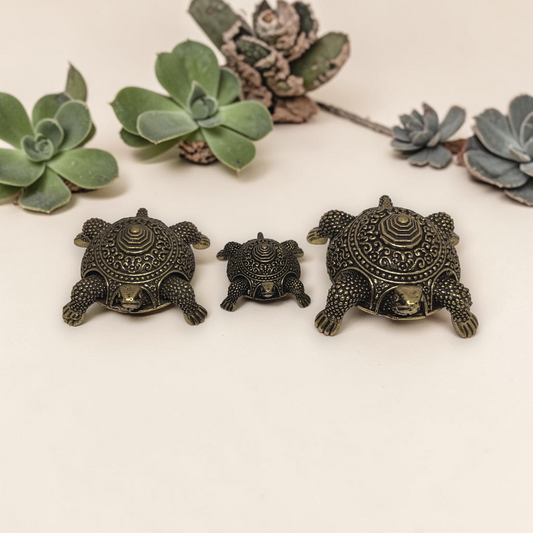 TORTISE