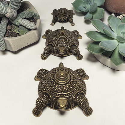 TORTISE