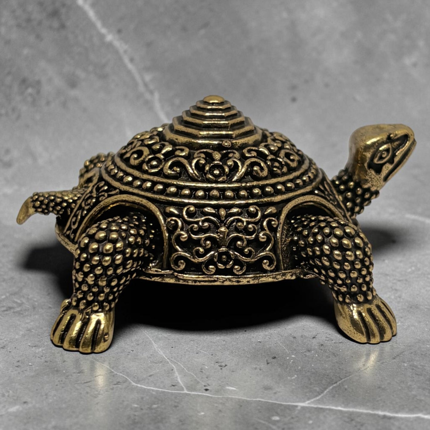 TORTISE