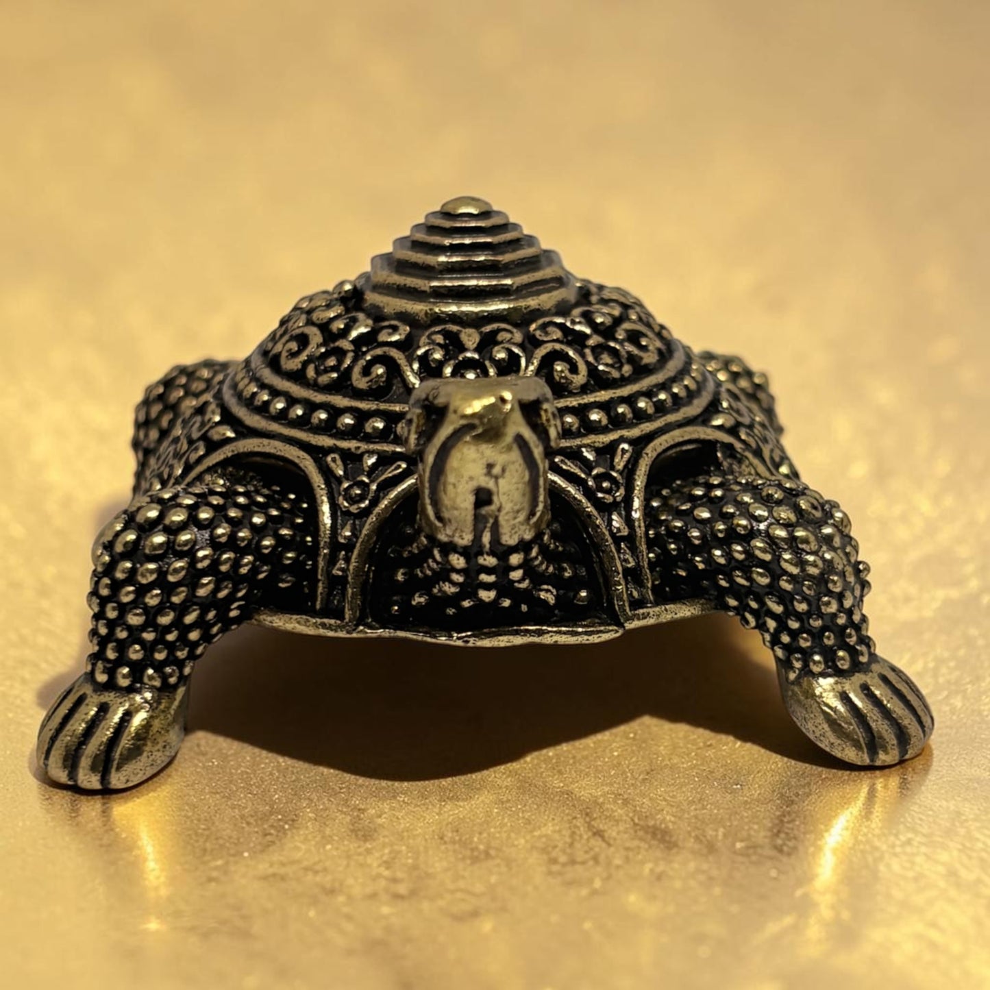 TORTISE